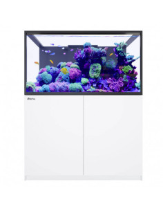 copia de Red Sea Reefer™ S 550 G2+ Noir