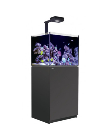 copia de Reefer™ 170 G3 Deluxe - Noir (1 RL 115 et 1 potence)