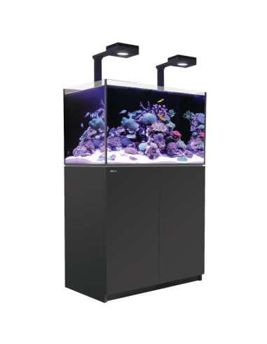 Reefer™ 250 G3 Deluxe - Noir (2 RL 115 + 2 potences)