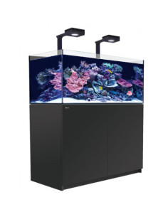 Reefer™ 425 G3 Deluxe - Noir (2 RL 115 + 2 potences)