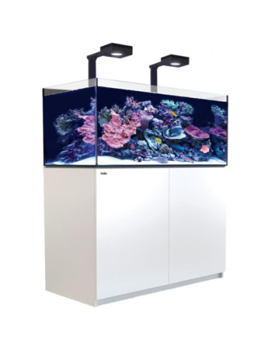 Reefer™ 425 G3 Deluxe - Blanc (2 RL 115 + 2 potences)