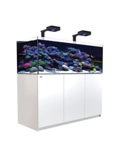 copia de copia de Reefer™ 525 G3 Deluxe - Noir (3 RL 115 + 3 potences)