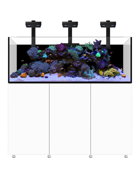 Infinia Reef 190.5 Blanc WATERBOX - Aquarium Récifal 517 L