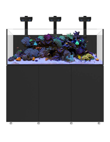 Infinia Reef 190.5 Noir WATERBOX - Aquarium Récifal 517 L