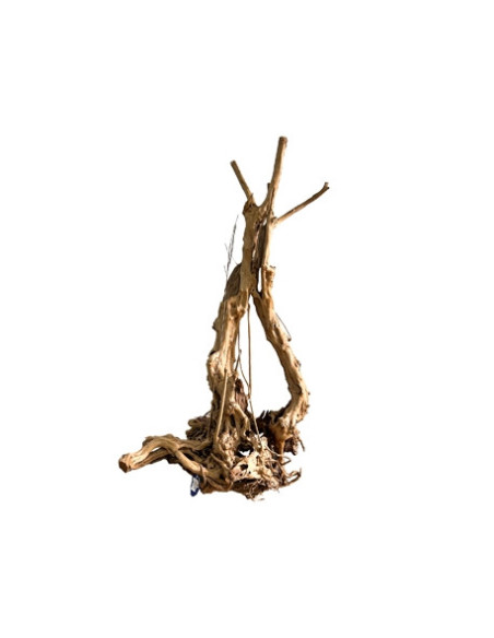RACINE WOOD STUMP 100-140cm 1p SCALARE