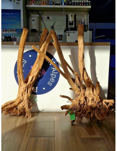 RACINE WOOD STUMP 100-140cm 1p SCALARE