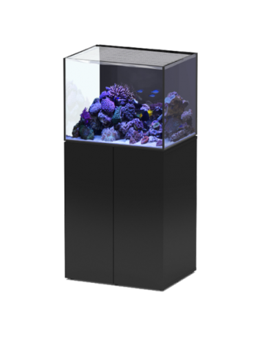 AQUATLANTIS Aquaview SW 65 + Meuble Noir + Décantation