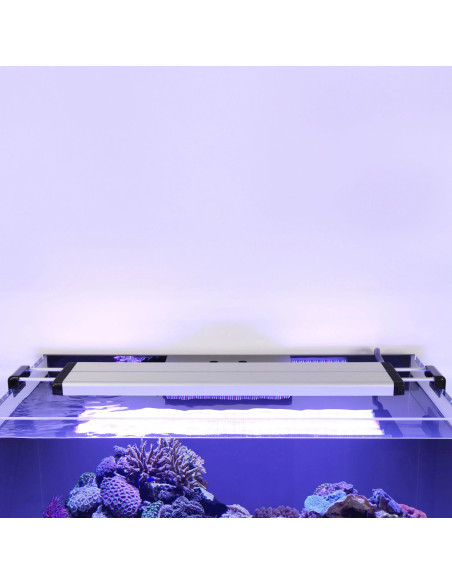 Aquarium AQUATLANTIS Aquaview sw 120 + Meuble Noir + Décantation