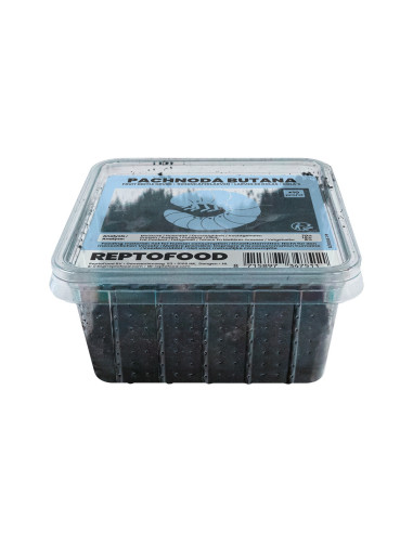 REPTO LARVES DE DOLAS (PACHNODA) BOX