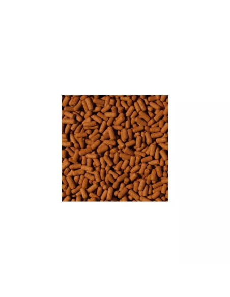 CICHLID & AROWANA LARGE STICKS 1000ml