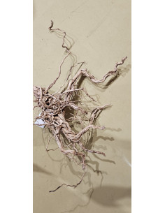 Racine legno dragon 90cm WYSIWYG | Récif Alpes 2