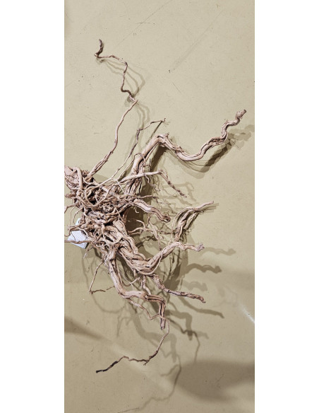 Racine legno dragon 90cm WYSIWYG | Récif Alpes