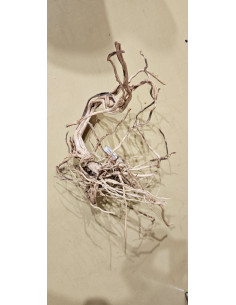 copia de Racine legno dragon 90cm WYSIWYG