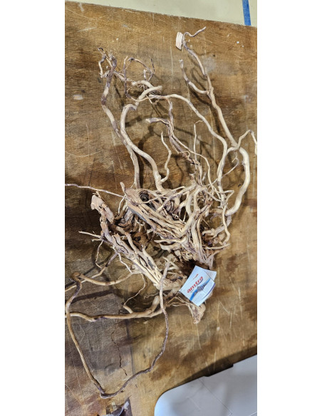 Racine legno dragon 60cm WYSIWYG | Récif Alpes