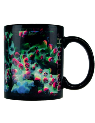 Tasses GroTech Acropora