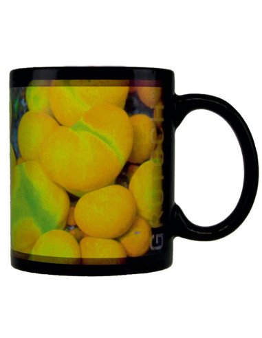 copia de Tasses GroTech Acropora