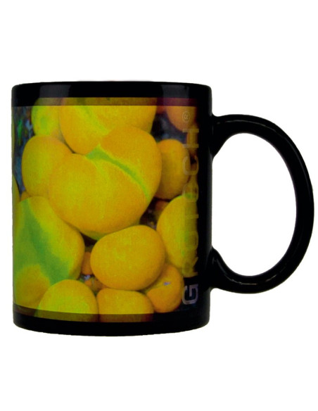 copia de Tasses GroTech Acropora