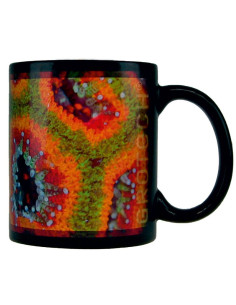Tasses GroTech Micromussa