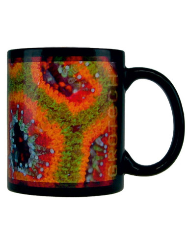 copia de copia de Tasses GroTech Acropora