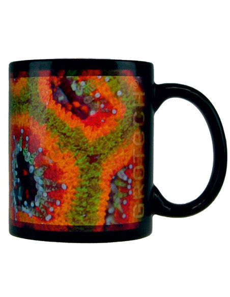 Tasses GroTech Micromussa