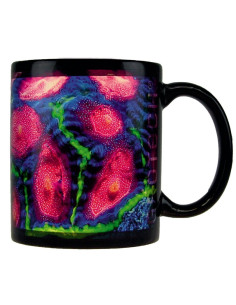 Tasses GroTech Favia