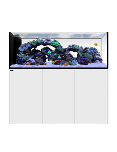 Peninsula 6025 Blanc WATERBOX - Aquarium Marin 527 L