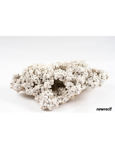 Pierre NewRecif – Roche Récifale Ensemencée Française