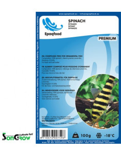 copia de DS EPINARD&OMEGA3 100 GR