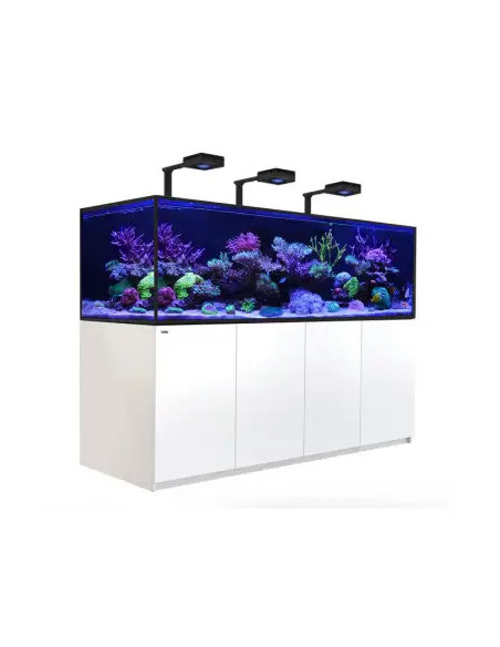 copia de copia de copia de copia de copia de copia de copia de copia de copia de copia de RED SEA - Reefer 750 G3 Deluxe - Blanc