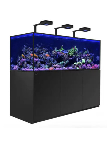 copia de copia de copia de copia de copia de copia de copia de copia de copia de copia de copia de RED SEA - Reefer 750 G3 Delux