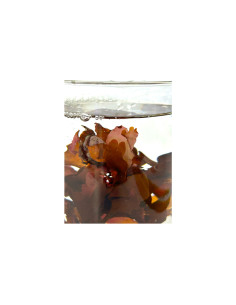 copia de copia de copia de Aquarium Systems Reef Shots Vitamins - 24 x 20ml 2
