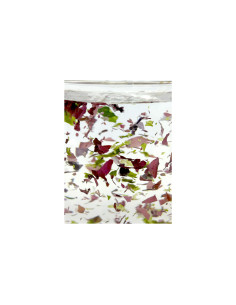 copia de copia de copia de copia de copia de Aquarium Systems Reef Shots Vitamins - 24 x 20ml 2