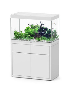 Sublime Ultra 100 x 50 AQUATLANTIS Blanc Laqué - Aquarium Equipé 246 L