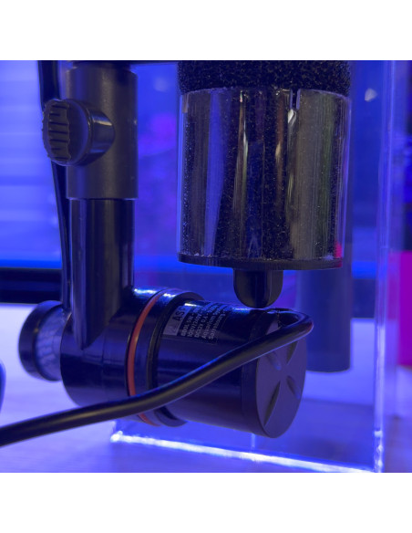 DC Protein Skimmer AQUARIUM SYSTEMS