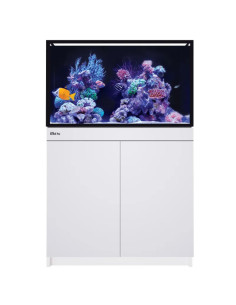 copy of copy of copy of Red Sea REEF-FRAME 170 – Noir