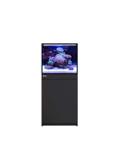 Reef-Frame MAX 170 - Noir