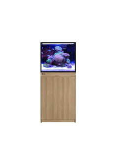 Reef-Frame MAX 170 - Chêne