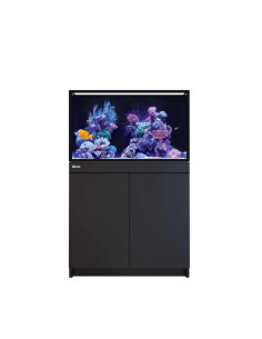 Reef-Frame MAX 250 - Noir