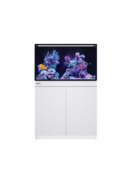 Reef-Frame MAX 250 - Blanc