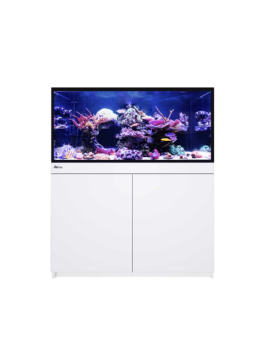 Reef-Frame MAX 350 - Blanc