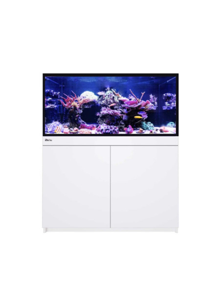 Reef-Frame MAX 350 - Blanc