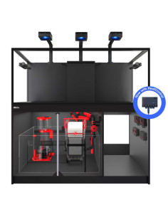 copy of Reef-Frame MAX 350 - Chêne