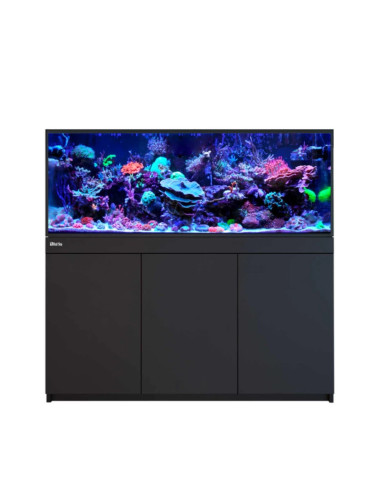copy of Reef-Frame MAX 350 - Chêne