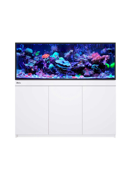 Reef-Frame MAX 500 - Blanc