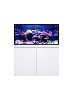 Reef-Frame 350 - Blanc
