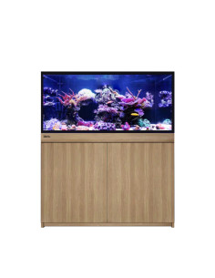 Reef-Frame 350 - Chêne