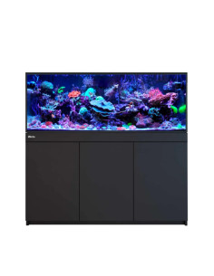 Reef-Frame 500 - Noir