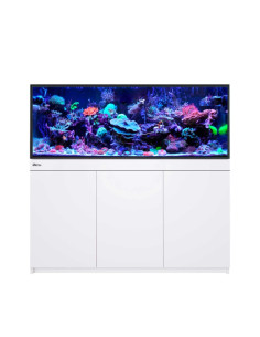 Reef-Frame 500 - Blanc