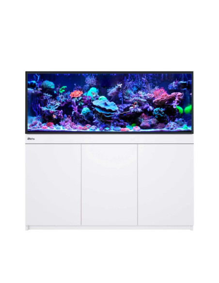 Reef-Frame 500 - Blanc