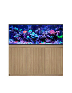 Reef-Frame 500 - Chêne